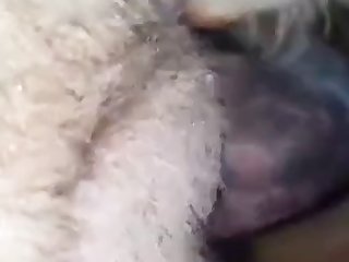 Araby Sexy Com