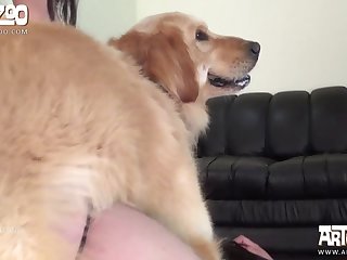 Zoo Sex