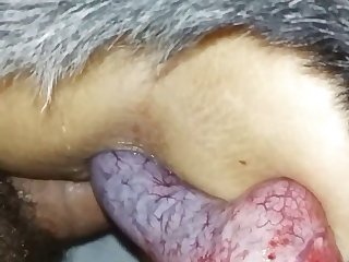 The Cunt Fuck Went Well And She Even Allowed The Doggy