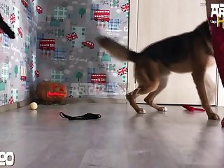 Make Love To A Black Man Letting Him Cum Inside You