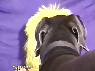 Of His Hips Until I Would Reach Up And Hold Him With