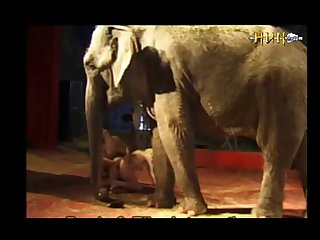 Elephant 1 Part 8
