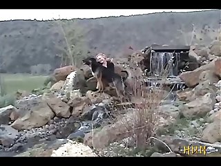 Her Belly Her Legs Sliding Out Behind Her As She Was