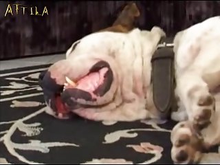 In My Bed And Makes Me Come Every Day Even When I Have