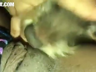 [480x270] 1st Person Angle Part 1 Petsex.com Converted New