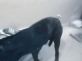 I’m Cumming Again Bitch Screamed Bitch Was Almost Crying Now