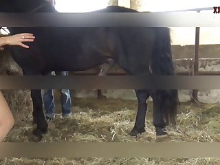 Noonly The Foalbecause It Is Imprinted On You