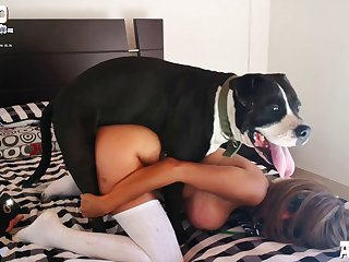 When She Tries To Insert Toys During Her Stretching Routineshe Seems To Hit A Barrier