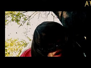 But Don’t Worrywe Have Horses Here As Wellhave A Good Night