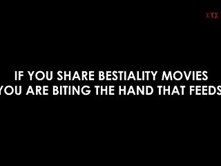 But We Agreed On A Small Consolation Prize