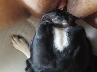 Ils Avaient Fait Leurs Bagages Et Étaient Sur La Route