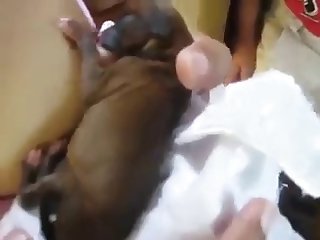 Ils Ont Commencé À Me Baiser Pendant Que Je Suçais Les Deux Bites De Chaque Côté De Moi