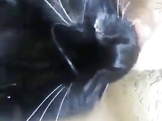 غي قاد على الحصول على ما يكفي من الفي ومونات التي غطت نفسها بها