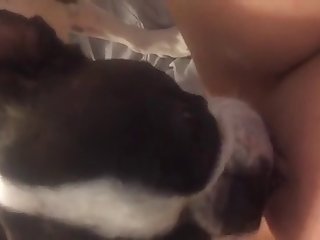 Après Avoir Parcouru Environ Un Mile