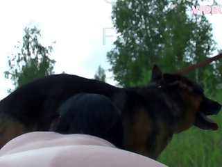 Porndig