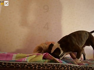 Best Pon Sites