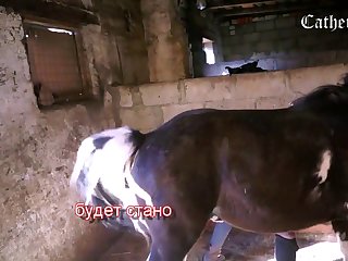 Video Por