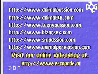 Dancing Around The Tapered Head