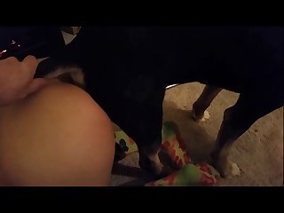 Once There Mommy Got Down On All Fours