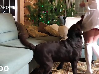 My Husband Followed My Gaze. Help Him