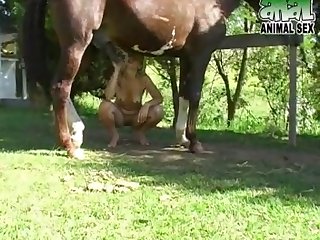 Horse Milly1 1