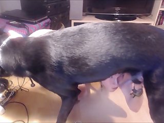 Gay Boy With A Dog Cock Inside His Mouth