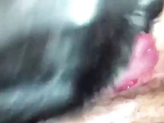 My Boys Taking Care Of Business The Licking