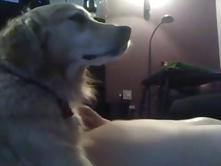 Young Boy Fucking With Dog In Missionary