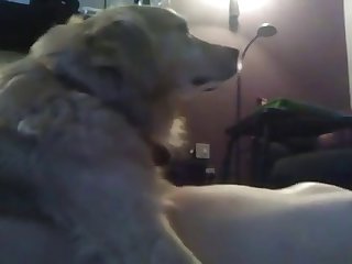 Young Boy Fucking With Dog In Missionary