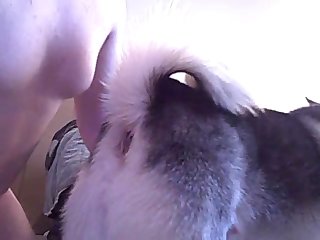 Female Dog Anal 3.wmv