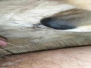 Cum Inside