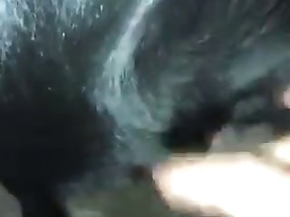 Wanna See Me Fuck Pm Me