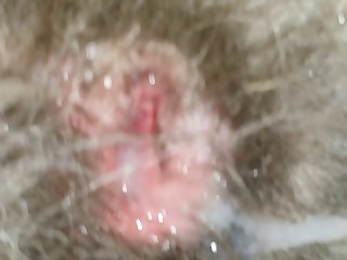Creampie Dog Pussy