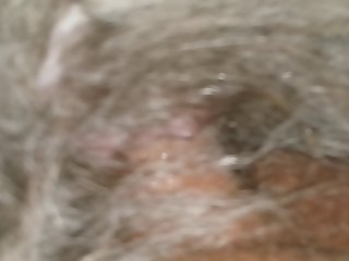 Creampie Dog Pussy