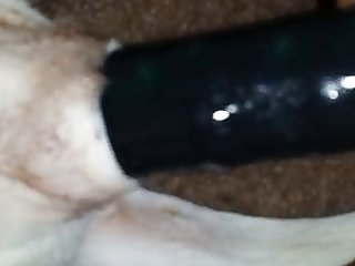 Wet Bitch Pussy Fucked With A Dildo