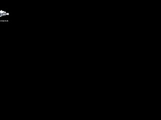Porn Xvideos