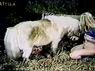 Porn Teen Bestiality