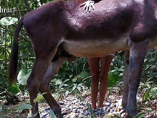 Bestiality Porn Blowjob