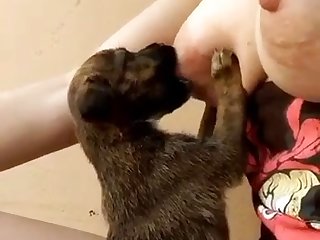 Stuffed Animal Sex Toy Porn