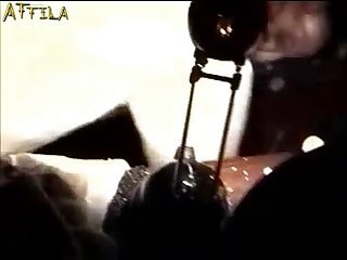 Tik Animal Porn