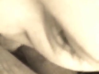 Animal Or Porn