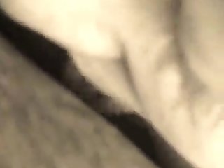 Animal Or Porn