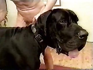 Video Zoofilia Anal
