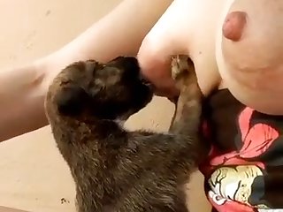 I Wanna Fuck A Dog In The Asshole