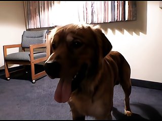 Kinky Dog Fuck