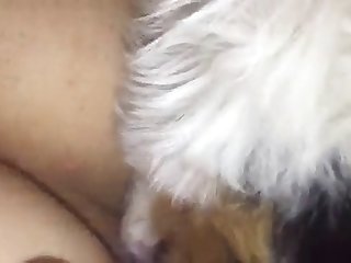 Licking Teen Pussy While Asleep