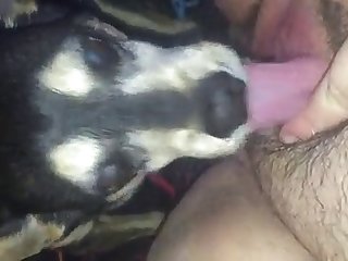 First Video Licking