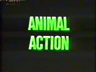 Xxx Hot Sex With Animal