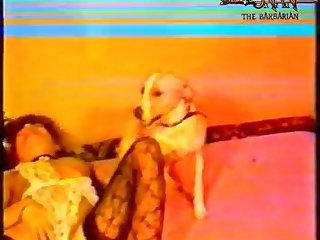 Painful Sex With Animal