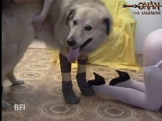 Animal Sex With Octopus